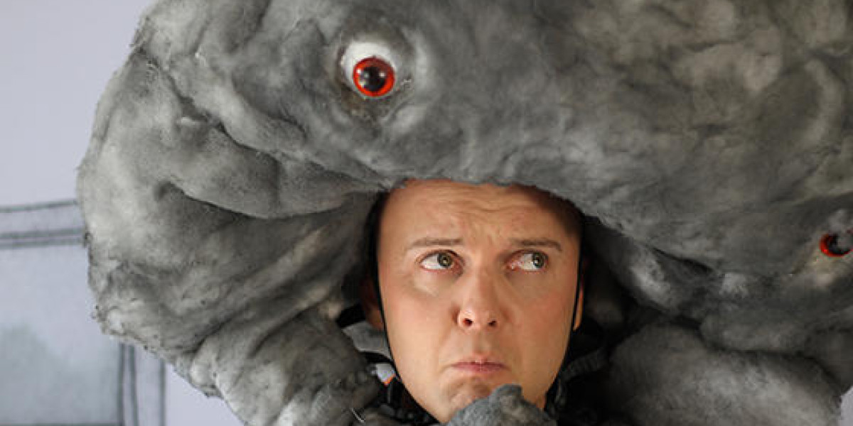  Wellbeing, Resilience & Emotional Intelligence:  An adaptation of Mr Huff by Anna Walker 