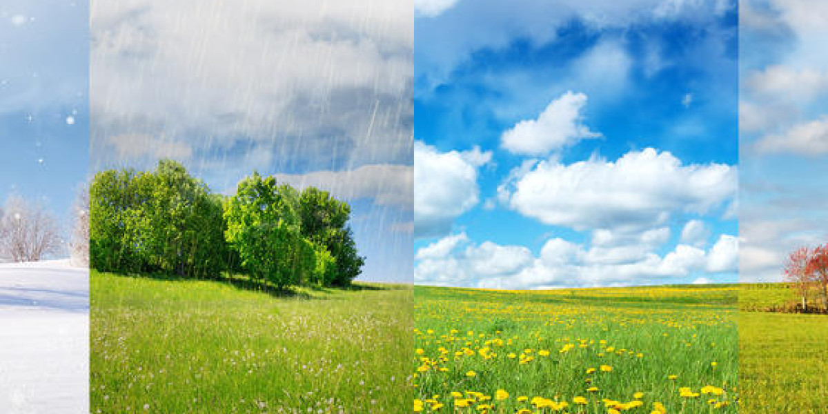  Wonderful Weather K-2 & 3-6 