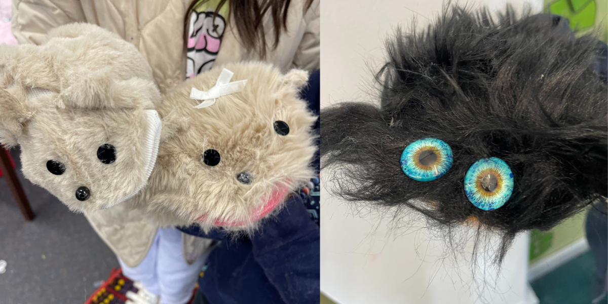  Aussie Puppetry Experience!  Interactive Presentation & Puppet Making 