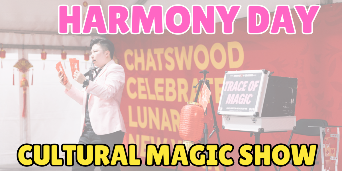 Chinese Cultural Magic Show 