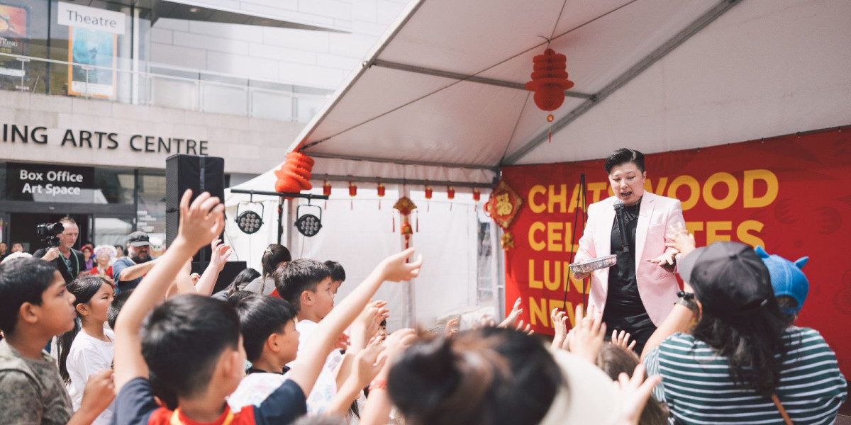  Chinese Cultural Magic Show 