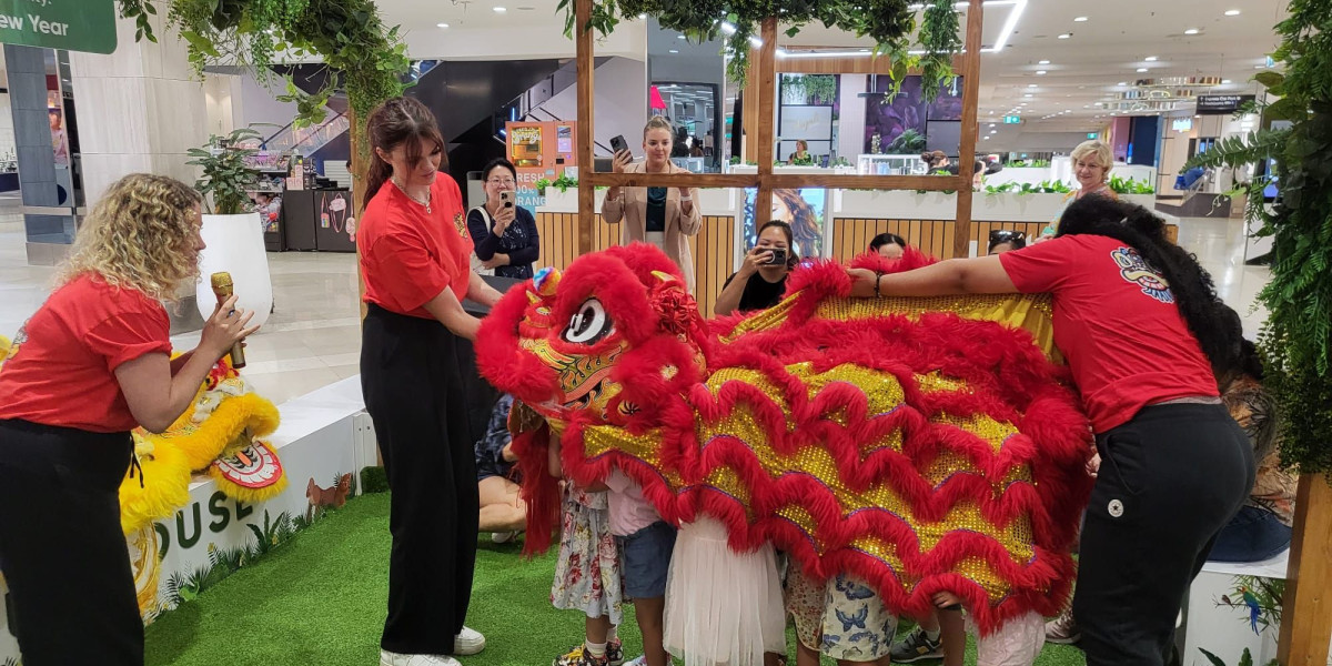  Lion Dance Kids Workshop 