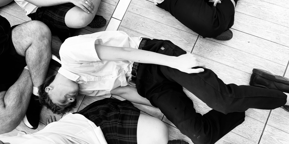  Australian Shakespeare Company Interactive Performances 