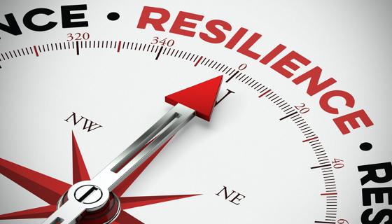  The Art of being Resilient (Secondary) 